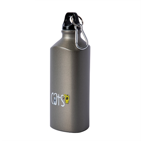 Biggdesign Cats Aluminum Water Bottle, Insulated Thermos Water Bottle With Lid and Carabiner Clip, BPA Free and Leak Proof, Cats Design, 20 oz (600 Ml)