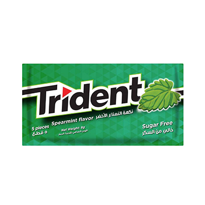 Trident Chewing Gum Spearmint 8GR