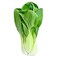 Pakchoi Head X2