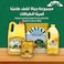 Hayat Palm Olein Vegetable Oil, 5L