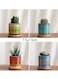 Generic 4 Pcs Succulent Plant Pots Small Modern Ceramic Indoor Planter With Bamboo Tray For Cactus Herbs Home Design 2 (Plants Not Included)