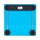 Terraillon Electronic Scale 150 KG Blue