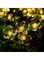 East Lady Cherry Blossom Solar String Lights Yellow 5x14cm