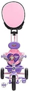 Lovely Baby Tricycle DX 455HC, Pink / Purple