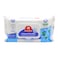 Carrefour Cool Mint Antibacterial Wipes 40 Count