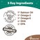 Naturvet Omega-Gold Plus Salmon Oil For Dogs, 90 Soft Chews, 149482