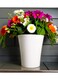 vsell24&nbsp;Vibrant White Plastic Flower Pot - Durable and Lightweight-Medium