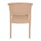 Plastic Bamboo Chair