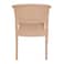 Plastic Bamboo Chair