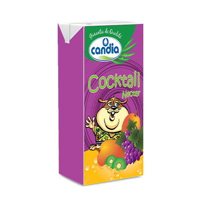 Buy Candia Juice Cocktail 125ML Online Carrefour Lebanon Buy Candia Juice Cocktail 125ML Online Carrefour Lebanon