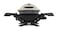 Weber Gas Grill Q 1200