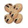 Filipino Chocnut