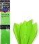 Party Time 10-Pieces Light Green Tissue Gift Wrap, 10 Sheets Gift Wrapping Paper for Home, Kitchen, Weddings, Birthday Party, Showers, Arts Crafts, DIY - Party Supplies