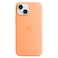 Apple Silicone Case Cover With MagSafe For iPhone 15 Orange Sorbet