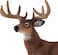 Animal Planet Mojo Deer Stag Painted Replica Wild Animal Collectable Toy Figures 387038