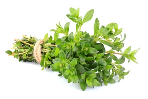 Thyme - 100 gm