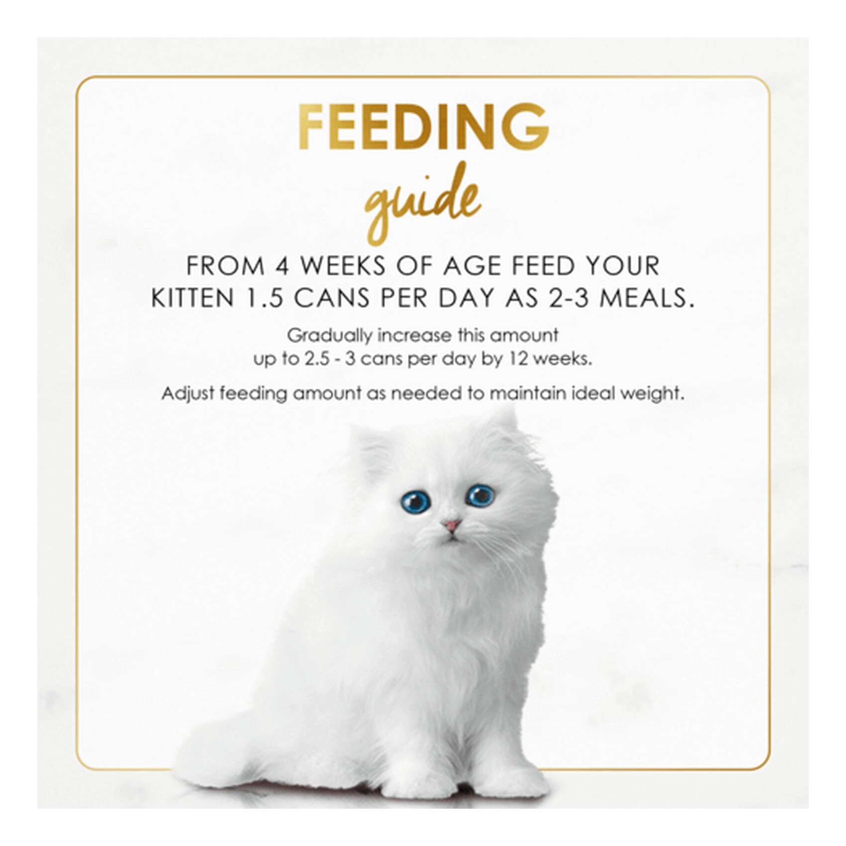 purina fancy feast kitten