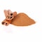 Grind Cinnamon