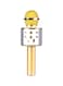 Generic Ws-858 Karaoke Microphone 2724688140367 Gold