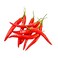 Bird Chilli Red Pack 100 gr