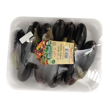 Bio Land Black Eggplant - 500 ram