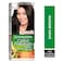 Garnier Color Naturals Cr&egrave;me Nourishing Permanent Hair Color, 3, Dark Brown