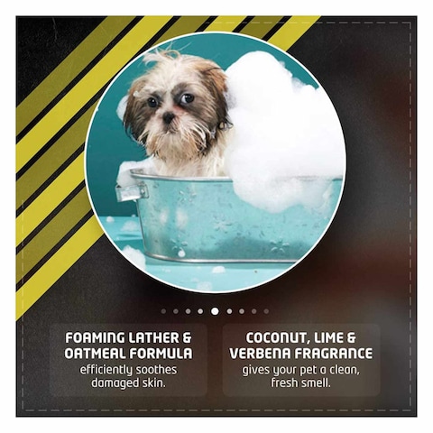 Buy Wahl Waterless Oatmeal Formula Dog Shampoo 200ml Online