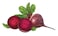 Red Beets
