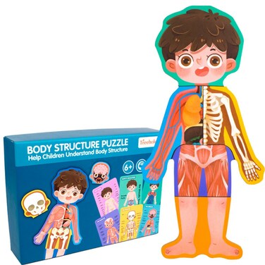 FACTORY PRICE - Treehole Body Structure Puzzle Toy Set - Boy