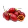 Colombian Tamarillo Red