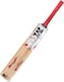 MG Kashmir Willow Bravo Cricket Bat For Light/Hard Tennis Ball With Cover- Red