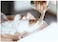 Generic &nbsp;4 In 1 Facial Mask Bowl Mixing Stick Brush Spoons Set Face Skin Care DIY Makeup Beauty Mask Tool Kit For Girl Women