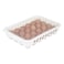 Gondol Eggy 24 Division Egg Box With Lid White