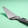Stainless Steel Cake Turner with TRP Handle DC2424