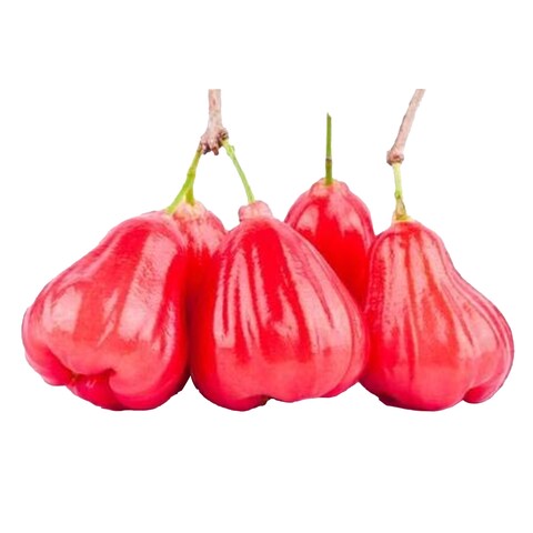 Rose Apple