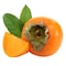 Sharon Fruit