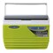 Pinnacle Cooler Box 4.5L