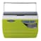 Pinnacle Cooler Box 4.5L