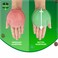 Dettol Original Liquid Handwash Pump, Pine Scent, 200ml