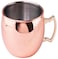 Arch Copper Moscow Mule Mug With Brass Handle - Plain