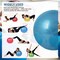ULTIMAX Yoga Ball, Exercise Ball for Fitness-85CM(Blue)