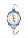 Generic Hanging Scale 100Kg With Hook Camry - Blue