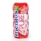 Mentos Gum Bottle, Redfruit Lime flavor, 24g each, pack of 10