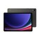 Samsung Galaxy Tab S9 5G + WI-FI SIM 1 + eSIM 256GB + 12GB RAM 11 Inch Gray