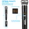 Platinum U20 Professional UHF Dual Wireless Karaoke Microphone System