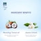 Parachute Flora Jasmine Scented Non-Sticky Coconut Hair Oil Clear 200ml
