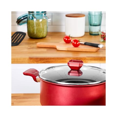 Tefal Expert Stewpot with Glass Lid - Size 26 - Red