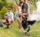 Barbecue Portable Charcoal Grill
