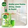 Dettol Antibacterial Floor Cleaner Green Apple Scent, 3L