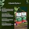 Qaadu Dysiac Testo Booster, 60 Testo Capsules For Men, Performance Booster Ayurvedic, Shilajit, Ashwagandha, Shatavari, Ginseng, Endurance Booster For Men Gym, Herbal Testopower Supplement